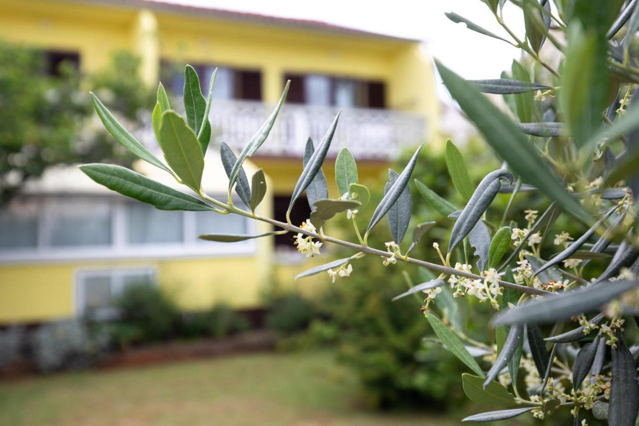 Apartment Drago *Cosy & Close To The Beach! Krk Town Exterior foto